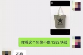 樟树收债公司排名:揭秘行业翘楚,助力债务回收 樟树收债公司排名:揭秘行业翘楚,助力债务回收